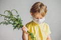 The boy is allergic to ragweed. In a medical mask, he holds a ragweed bush in his hands. Allergy to ambrosia concept. Royalty Free Stock Photo