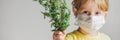 The boy is allergic to ragweed. In a medical mask, he holds a ragweed bush in his hands. Allergy to ambrosia concept. BANNER, long Royalty Free Stock Photo