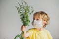 The boy is allergic to ragweed. In a medical mask, he holds a ra Royalty Free Stock Photo