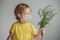 The boy is allergic to ragweed. In a medical mask, he holds a ragweed bush in his hands. Allergy to ambrosia concept. Royalty Free Stock Photo