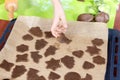 Boy arranges cut out cookie shapes on a baking tray. In the background, silicone coffee table and cookie cutters.