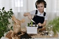 The child produces the movements of the dance and pours the soil directly onto the sprouted stems of the hyacinth bulb.