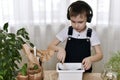 The boy, cultivates soil in a flower pot rake, is engaged in the planting of hyacinths. Royalty Free Stock Photo