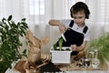 The boy is engaged of hyacinths, satisfied child sprinkles planted bulbs with soil