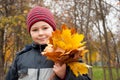 The Boy in the autumn park