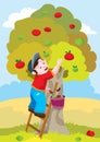 Boy in the autumn picks apples from the apple tree, holding a ladder to the tree, cartoon illustration, vector Royalty Free Stock Photo