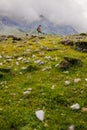 boy with a backpack on a hike against the backdrop of the mountains. child traveler with backpack, hiking, travel, mountains in