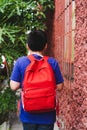 Boy with backpack walking down the street to school Royalty Free Stock Photo