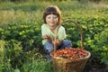 boy with basket of berries Royalty Free Stock Photo