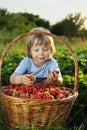 Boy with basket of berries Royalty Free Stock Photo