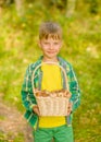 Boy with basket of mushrooms in autumn forest Royalty Free Stock Photo