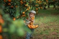 A boy with a basket of ripe tangerines in his hands Royalty Free Stock Photo