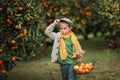 A boy with a basket of ripe tangerines in his hands Royalty Free Stock Photo