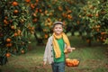 A boy with a basket of ripe tangerines in his hands Royalty Free Stock Photo