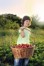 Boy with basket of strawberry Royalty Free Stock Photo