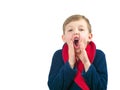 boy in a bathrobe posing at the camera on a white background Royalty Free Stock Photo