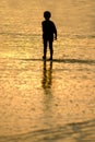 Boy at the beach Royalty Free Stock Photo