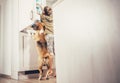 Boy and beagle dog look something delicious in refrigerator