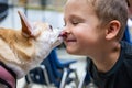 A boy is being licked in the face by a small dog Royalty Free Stock Photo