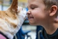 A boy is being licked in the face by a small dog Royalty Free Stock Photo