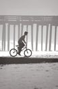 Boy, Bicycle, Beach