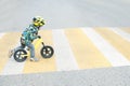 A boy with a bicycle crosses a pedestrian crossing with yellow markings Royalty Free Stock Photo