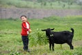 Boy and black goat Royalty Free Stock Photo