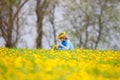 Boy with Blond Hair Picking Dandelions Royalty Free Stock Photo