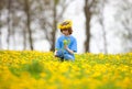 Boy with Blond Hair Picking Dandelions Royalty Free Stock Photo