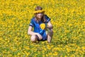 Boy Picking Dandelions on a Meadow Royalty Free Stock Photo