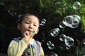 Boy blowing bubbles Royalty Free Stock Photo