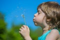 Boy blowing dandelion Royalty Free Stock Photo