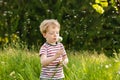 Boy blowing dandelion seeds Royalty Free Stock Photo