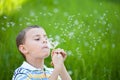 Boy blowing dandelion seeds outdoors in a field Royalty Free Stock Photo