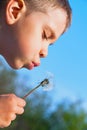 Boy blowing dandelion Royalty Free Stock Photo