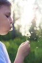 Boy blowing a dandelion at sunset beautiful light Royalty Free Stock Photo