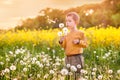 boy blowing on dandelions in spring near yellow rapeseed field, warm evening light Royalty Free Stock Photo