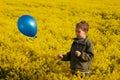 Boy with a blue balloon on a yellow field Royalty Free Stock Photo