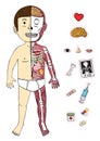 Boy body & anatomy