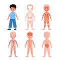 Boy body system. Kids anatomy poster, medical education schemes, skeletal, muscular and nervous, circulatory and Royalty Free Stock Photo