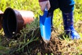 Boy in boots digging in the ground with a shovel on Tu Bishvat