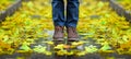 The boy in the boots is the fall in the driveway covered with yellow maple leaves Royalty Free Stock Photo