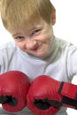 Boy in boxing gloves Royalty Free Stock Photo