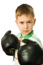 The boy in boxing gloves Royalty Free Stock Photo