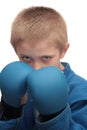 Boy with boxing gloves. Royalty Free Stock Photo