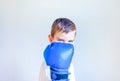 A boy in boxing gloves looks at the camera. On white background. Sports and self-defense