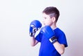 Boy with boxing gloves Royalty Free Stock Photo