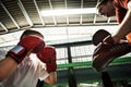 Boy Boxing Training Punch Mitts Exercise Concept Royalty Free Stock Photo