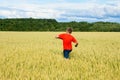 The boy in a bright T-shirt runs along the yellow field where ears of grain grow, the grain against the blue sky, the rear view. Royalty Free Stock Photo