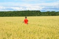 The boy in a bright T-shirt runs along the yellow field where ears of grain grow, the grain against the blue sky, the rear view.